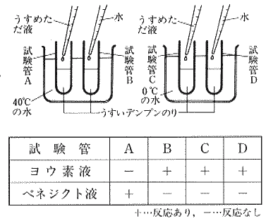 Webテスト